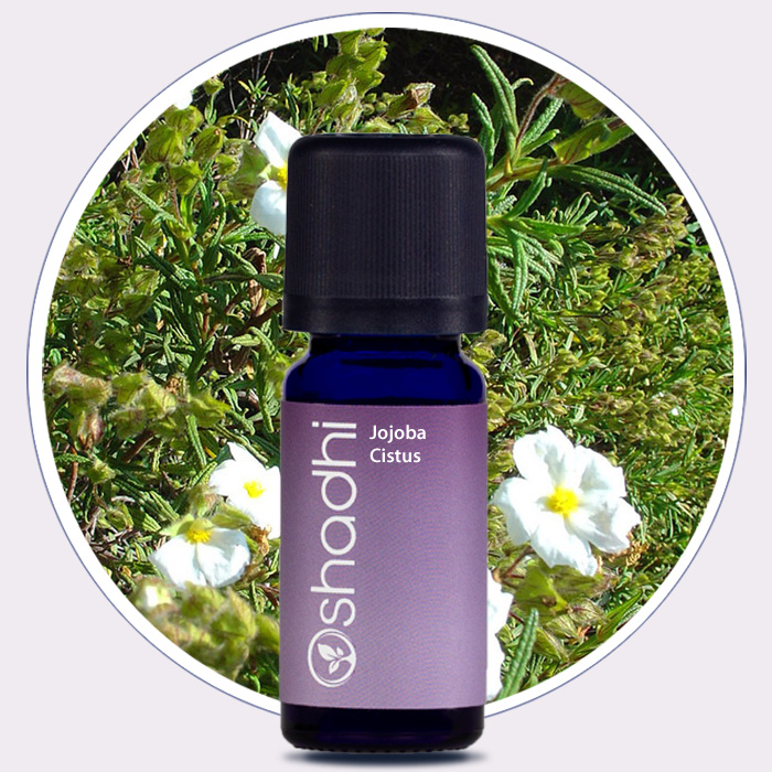 Essential oil dilutions