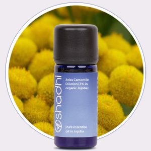 Blue Atlas Camomile Dilution (3% in Jojoba)