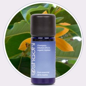 Champaca Dilution (3% in Jojoba)