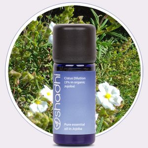 Cistus (Rock Rose) Dilution (3% in Jojoba)