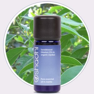 Sandalwood Dilution (3% in Jojoba)