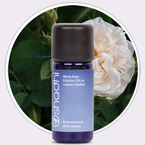 White Rose Dilution (3% in Jojoba)