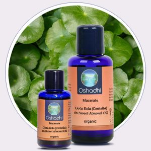 Gotu Kola (Centella) Macerate in Sweet Almond Oil Organic