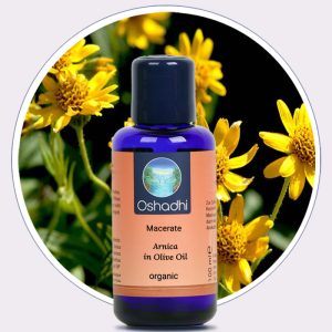 Arnica Macerate in Olive Oil Organic