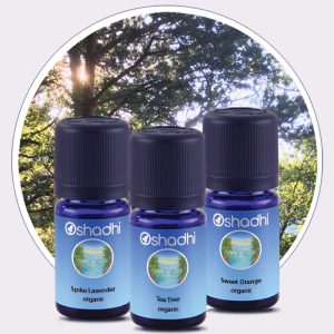 Summer Travel Set