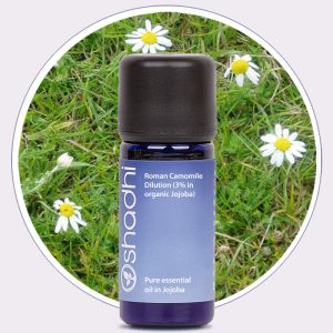 Roman Camomile Dilution (3% in Jojoba)