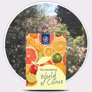 The Wonderful World of Citrus